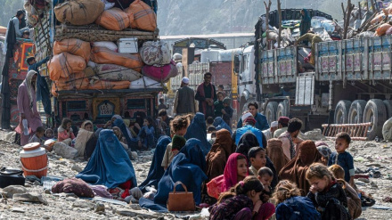 واکنش طالبان به پایان مهلت پاکستان برای اخراج اجباری پناهجویان افغان