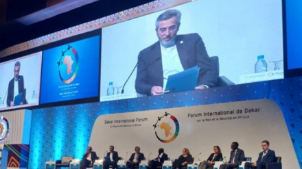 Багери: Иран и Сенегал обладают потенциалом для развития политических и экономических отношений