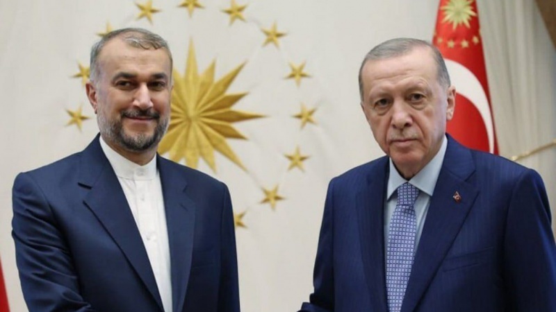 تحولات غزه؛ محور دیدار وزیر خارجه ایران و رئیس جمهور ترکیه