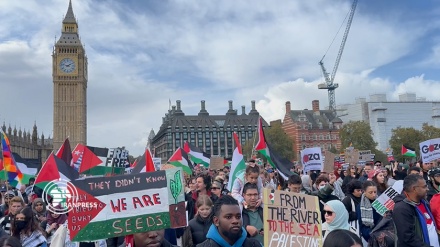 Pro-Palestinian demonstration in London calls for end of Israeli massacre