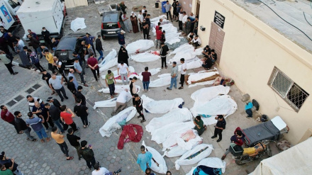 Vrasja tjetër masive e Izraelit, kësaj radhe në shkollën Al-Fakhura/Foto