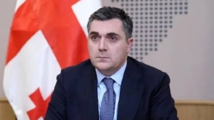 Յուրաքանչյուր երկիր պաշտպանական ուժեր ունենալու իրավունք ունի․ Դարչիաշվիլի