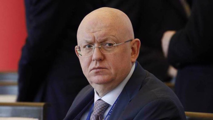  At General Assembly, Russia calls for immediate halt to bloodshed in Gaza Strip 