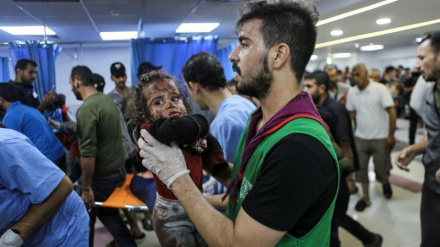 Gaza, oltre 14mila morti da inizio guerra