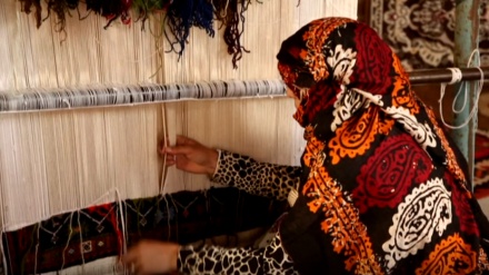 イラン北西部の伝統的な絨毯織り「ヴァルニーバーフィー」