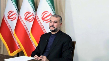 গাজা যুদ্ধে হামাসকে নিশ্চিহ্ন করতে পারবে না ইসরাইল: ইরান