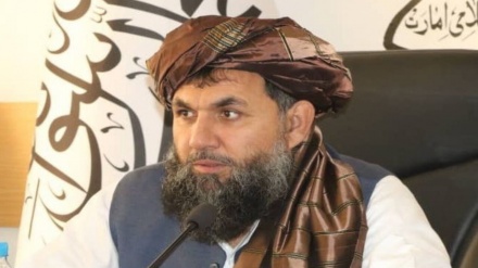 طالبان برای کابل والی جدید منصوب کرد