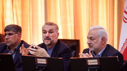 Resistance calibrating pressure on Israel and backers amid Gaza war: Iran's FM