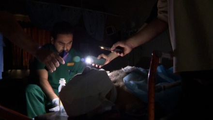 Dua Hari Lagi Semua Rumah Sakit Gaza Terancam Lumpuh