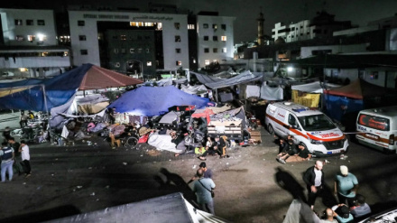  CNN: под больницей Аш-Шифа нет туннеля