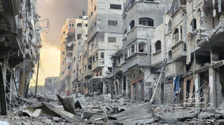 Франция лицемерно проводит конференцию в поддержку Газы