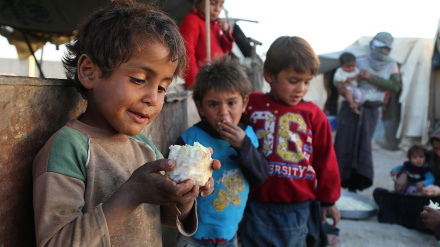 Ğəzzə canq:Bo Fələstini milləti məcburi kuç doey plan.