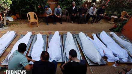 (FOTO) Gaza, 32 giorni di guerra - 2