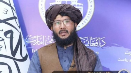 واکنش طالبان به پاره کردن حکم وزارت خارجه این گروه از سوی ظاهر اغبر