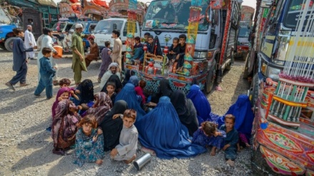 چوکی داغ (واکنش های مقامات طالبان به اقدام دولت پاکستان در اخراج اجباری و گسترده مهاجرین افغانستانی)