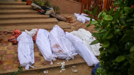 ग़ज़ा में इस्राईल के हाथों नस्लीय सफ़ाए और युद्ध अपराध के गंभीर मामलों की अंतर्राष्ट्रीय जांच