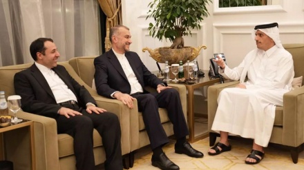 حماس او اسلامی جهاد غورځنګونه هیڅکله نشي حذفیدلی