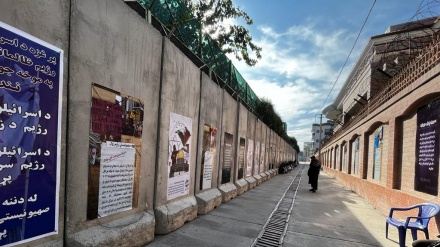 نمایشگاه عکس حمایت از غزه در سرکنسولگری ایران در جلال آباد