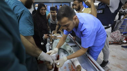 Më shumë se njëmbëdhjetë mijë dëshmorë në 37 ditët e krimeve izraelite në Gaza/Foto