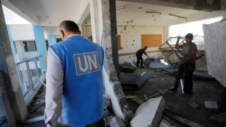 רשת CNN: חמישה עובדים נוספים של האו