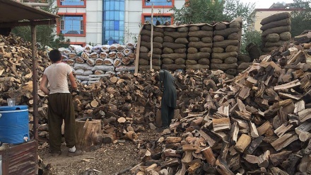 نگرانی مردم کابل از گرانی مواد سوختی در آستانه فصل زمستان
