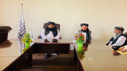 ابراز نگرانی مسئولین از افزایش کرایه منازل در ننگرهار 