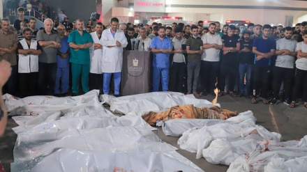 Ирландия потребовала немедленного прекращения атак сионистского режима