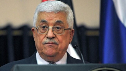 巴勒斯坦权力机构主席：对加沙地带侵略没有安全和军事解决方案