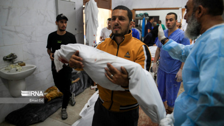 Письмо иранских кинематографистов в поддержку сектора Газа 