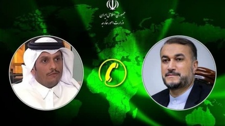 Iranian, Qatari FMs reiterate call for end to Israeli war crimes in Gaza