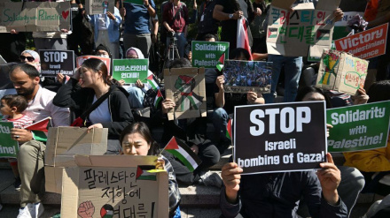 Декларация солидарности народа Южной Кореи с угнетенным народом Газы