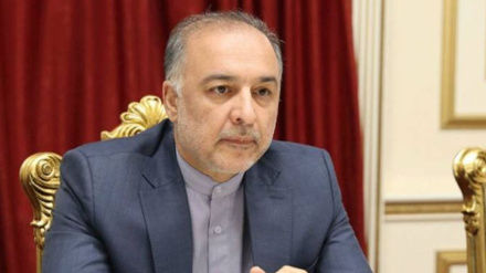 Հայաստանն ու Իրանը կարող են եռապատկել «գազ՝ էլեկտրաէներգիայի դիմաց» ծրագրի ծավալները․ դեսպան