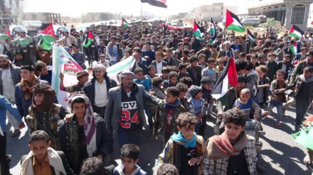 בכיר בצבא החות'י: הכוחות ימשיכו לתמוך בעם הפלסטיני