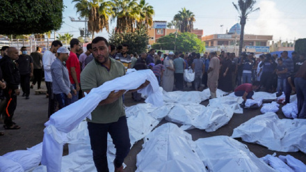 ग़ज़्ज़ा युद्ध, 13 हज़ार से अधिक फ़िलिस्तीनी शहीद