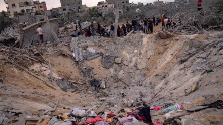 Unbearable human tragedy unfolding in Gaza: ICRC