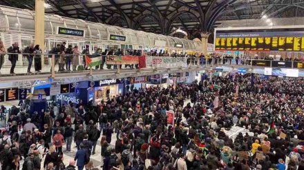 Palestine supporters stage London protest, call for Gaza truce as Israeli war rages