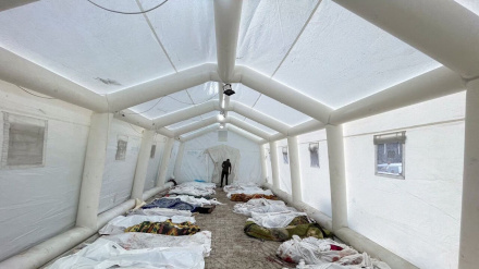 «Յուրաքանչյուր մարդու կյանք սուրբ է»․ Հռոմի պապը Մերձավոր Արևելքի համար կրկին խաղաղության կոչ է արել