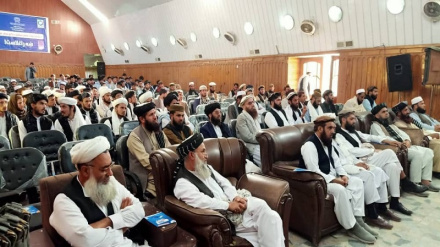 ننګرهار کې څلور سوه دیني مدرسې جوړې شوي دي نور جزئیات دلته لرو