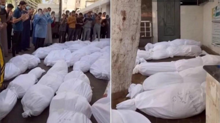 Кража частей тел палестинцев сионистскими солдатами