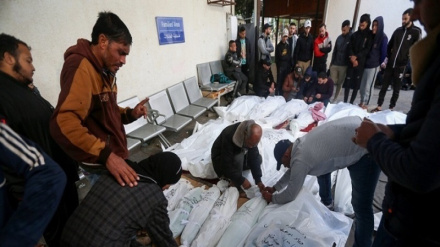 Martirio di 58 palestinesi nel nord e nel sud di Gaza