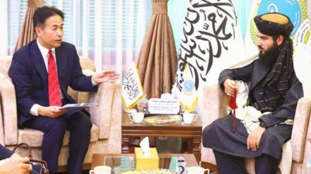 سفیر ژاپن در کابل درباره ادامه کمک‌های صحی به افغانستان اطمینان داد