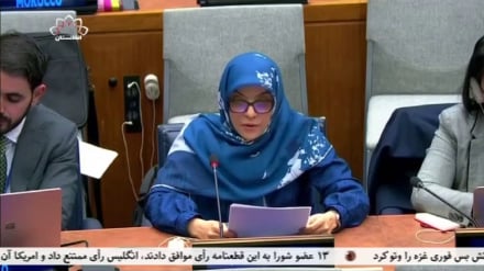 Ambasadori i Iranit në Kombet e Bashkuara: Të gjithë autorët e krimeve kundër palestinezëve duhet të mbajnë përgjegjësi