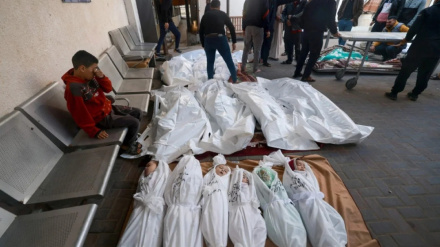 Children, women make up 70% of Palestinians martyred in Israeli war on Gaza: Health Ministry