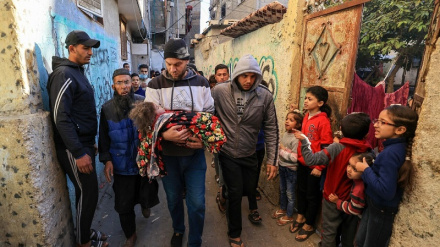 مسلمان ملتونه د فلسطین د مسلې لپاره متحد شي