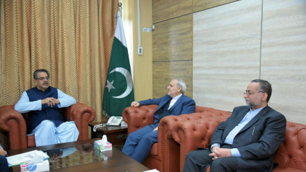 پاکستان د فارسي ژبې ددودولو او دکلتور په حوزې کې له ایران سره ملګرتیا ته تیار دی