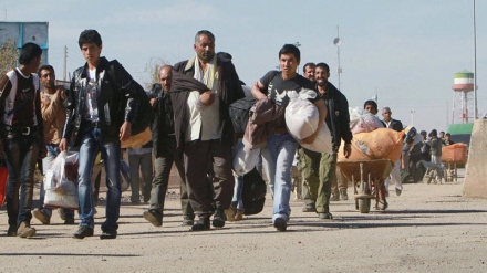 په تېرو پنځو ورځو کې ۱۶ زره افغان کډوال له ایرانه خپل هېواد ته ستانه شوي دي