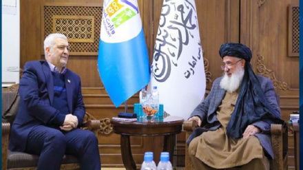 توسعه همکاری‌های اقتصادی؛ محور دیدار مقام طالبان با سفیر ایران در کابل