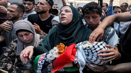哈马斯呼吁国际组织保护加沙医疗系统