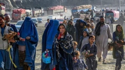 پناهجویان افغان؛ محور رایزنی پاکستان با رئیس سازمان بین‌المللی مهاجرت 