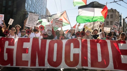 巴勒斯坦支持者在美国进行抗议 